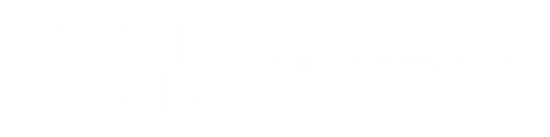 Writing Vision logo